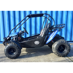 Used Hammerhead&trade; GTS150 Buggy with USA Specs - Blue - Only 319 Miles