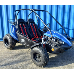Used Hammerhead&trade; GTS150 Buggy with USA Specs - Blue - Only 319 Miles