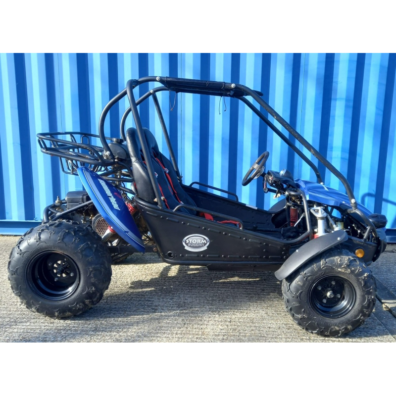Used Hammerhead&trade; GTS150 Buggy with USA Specs - Blue - Only 319 Miles