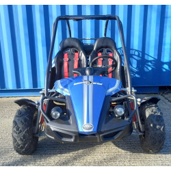 Used Hammerhead&trade; GTS150 Buggy with USA Specs - Blue - Only 319 Miles