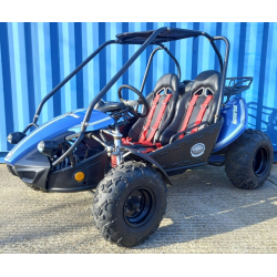 Used Hammerhead&trade; GTS150 Buggy with USA Specs - Blue - Only 319 Miles