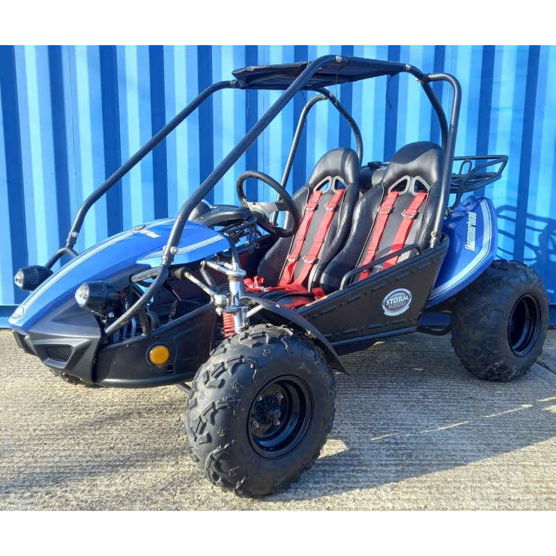 Used Hammerhead&trade; GTS150 Buggy with USA Specs - Blue - Only 319 Miles