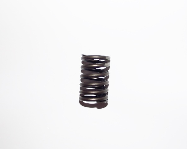 VALVE SPRING