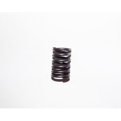 VALVE SPRING