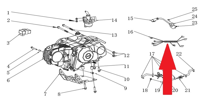 Wiring Harness - RFN Thunder Pro 110cc Dirt Bike