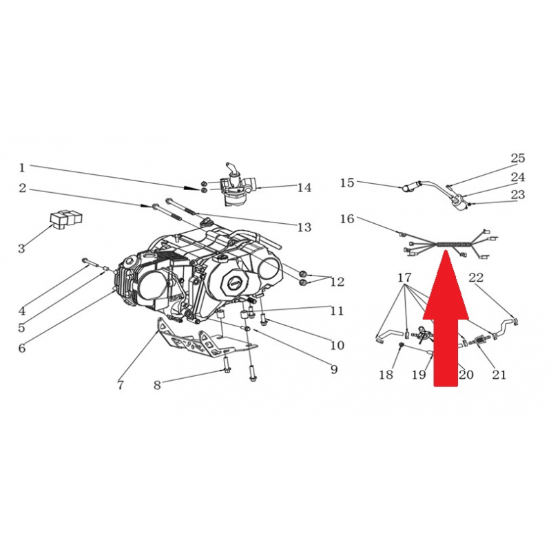 Wiring Harness - RFN Thunder Pro 110cc Dirt Bike