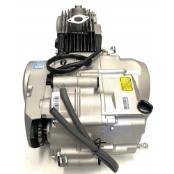 YX 110cc Complete Semi Auto Engine - RFZ 110cc (KICK START)