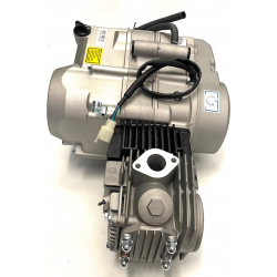 YX 110cc Complete Semi Auto Engine - RFZ 110cc (KICK START)